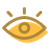 Vision Icon
